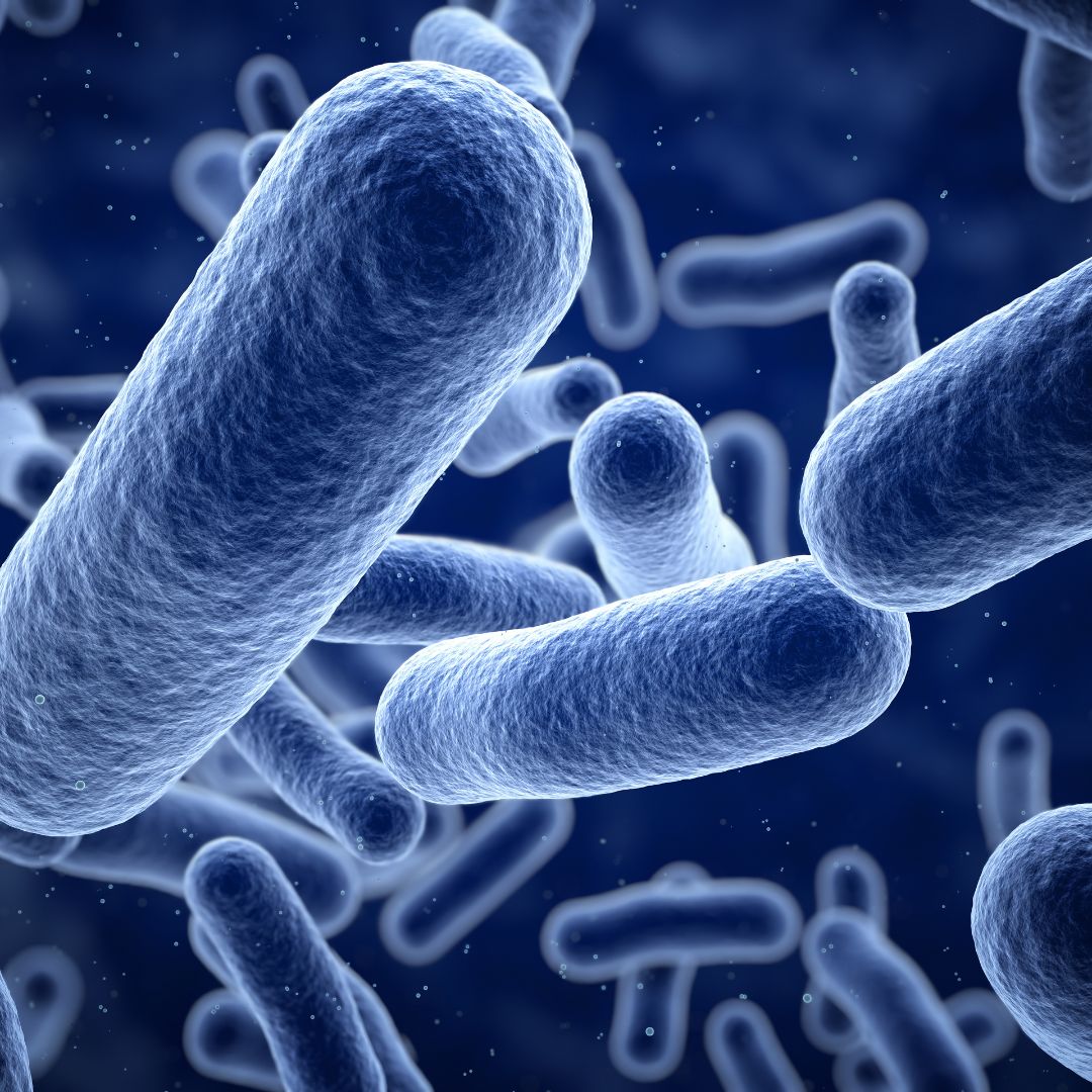 Common Water Contaminants and Their Potential Health Risks